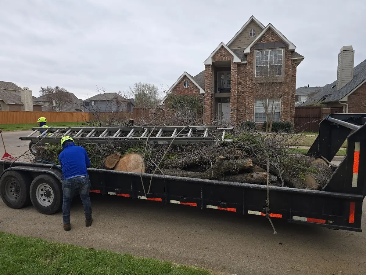 Expert Tree Fertilization with proper safety equipment in North Apollo
